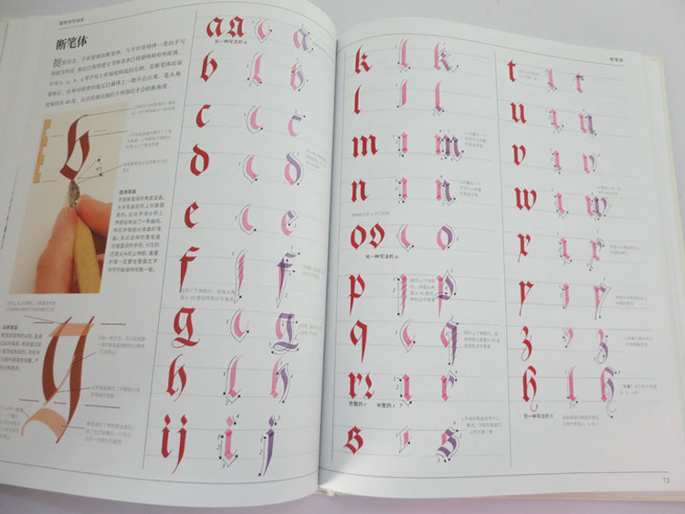 The Art Of Calligraphy David H - Chinese Calligraphy Practice Book recension och pris