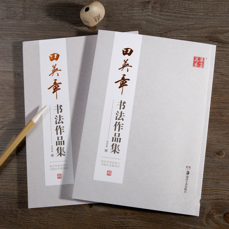 Ouyang Xun Brush Calligraphy C - Chinese Calligraphy Practice Book recension och pris