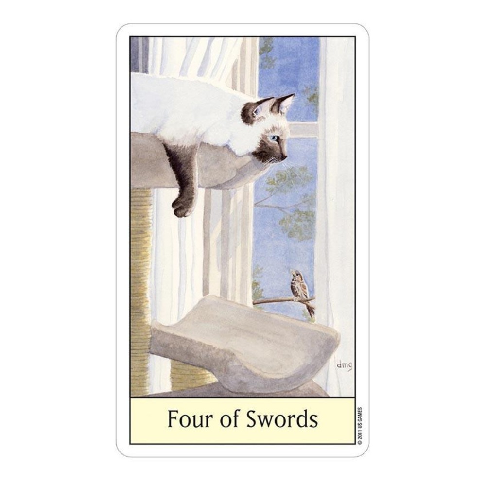 Cats Eye Tarot 12x7 cm Card Ga - Tarot Deck With Guidebook recension och pris