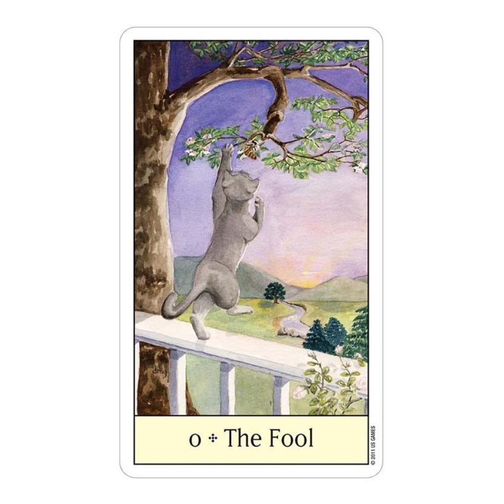 Cats Eye Tarot 12x7 cm Card Ga - Tarot Deck With Guidebook recension och pris