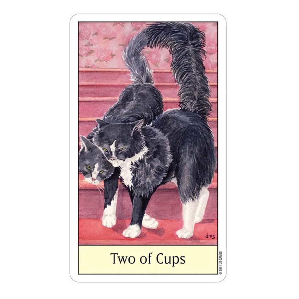 Cats Eye Tarot 12x7 cm Card Ga - Tarot Deck With Guidebook recension och pris